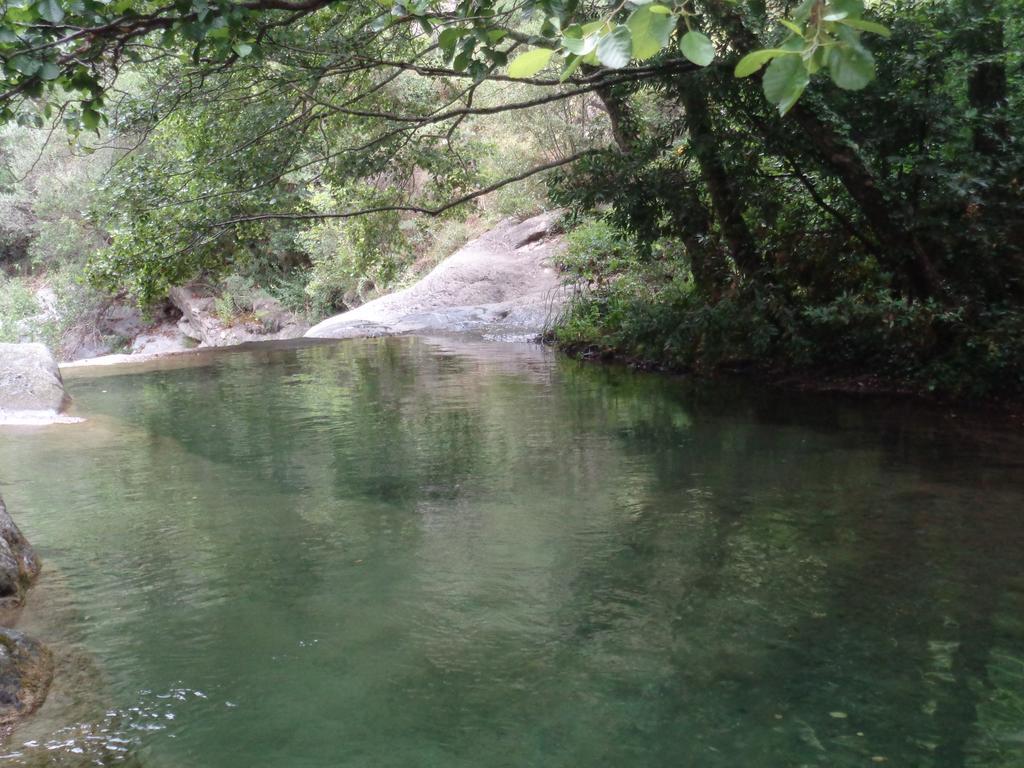 Appartamento Carrerapiana Pigna Quarto foto